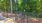 Dog Park at Avana Uptown apartments in Atlanta, GA