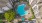 Ariel view of pool at Avana Uptown apartments in Atlanta, GA