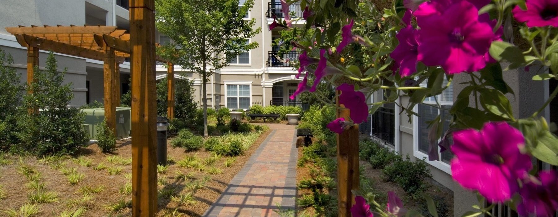 courtyard with walkway and flowers